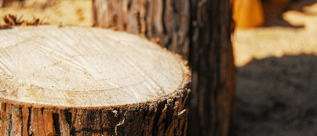 国産木材100％使用
